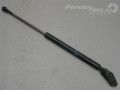 Toyota Avensis (T25) Trunk lid stay (combi)(left) Part code: 68960-05072
Body type: Universaal