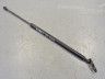 Nissan X-Trail Trunk lid stay, right Part code: 90450-JG400
Body type: Linnamaastur