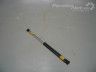 Renault Laguna 2001-2007 Trunk lid stay (combi) Part code: 8200000896A
Body type: Universaal
Ad...
