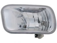Dodge Ram 2008-2024 UDUTULI EESMINE