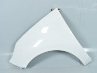 Front fender, left Renault Scenic, Grand Scenic III / 01.2009-12.2...